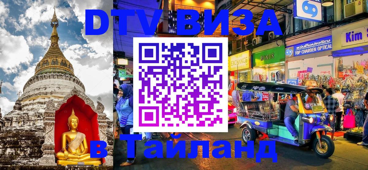 Оформление DTV визы под ключ: стоимость и тарифы, только загранпаспорт - Киров 